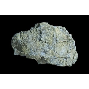WC1240  FORMA DO SKAŁ - Rock Mass (12,7 cm x 17