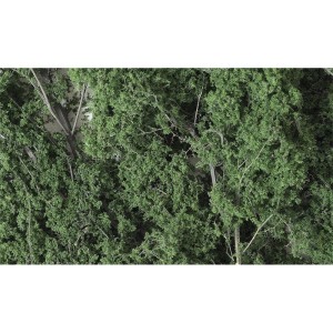 WF1130  DROBNE LIŚCIE - DARK GREEN (1,22dm3)