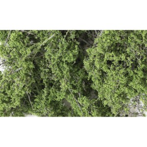 WF1131  DROBNE LIŚCIE - MEDIUM GREEN (1,22dm3)