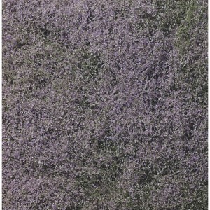 WF177  LISTOWIE - PURPLE FLOWERING (BAG 464 cm2)