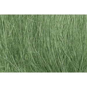 WFG174 TRZCINA - Medium Green Field Grass (dł. 5,0
