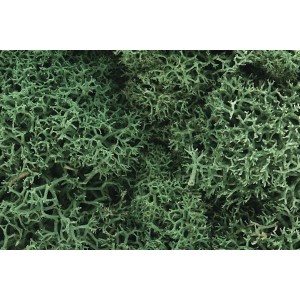 WL162 ZAROŚLA - Light Green Lichen (BAG 1.41 dm3)