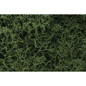 WL163 ZAROŚLA - Medium Green Lichen (BAG 1.41 dm3)