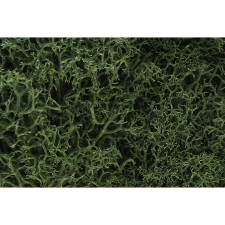WL163 ZAROŚLA - Medium Green Lichen (BAG 1.41 dm3)