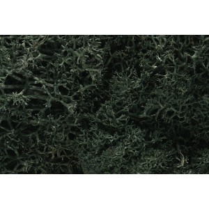 WL164 ZAROŚLA - Drak Green Lichen (BAG 1.41 dm3)
