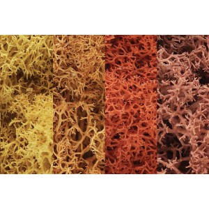 WL165 ZAROŚLA - Autumn Mix Lichen (BAG 1.41 dm3)