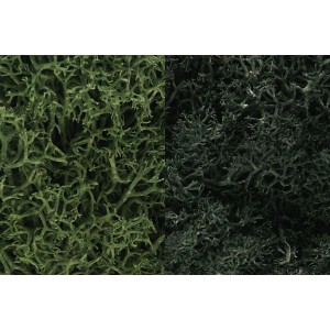 WL168 ZAROŚLA - Dark Green Mix Lichen (1.41 dm3)