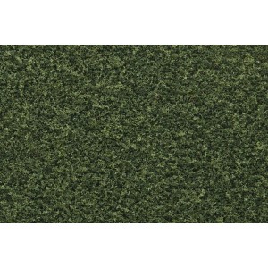 WT1345 DARŃ - Green Grass Fine Turf