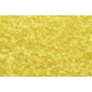 WT1353 DARŃ - Tr Yellow Fall Coarse Turf