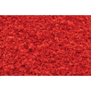 WT1355 DARŃ - Tr Red Fall Coarse Turf