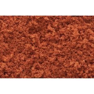 WT1356 DARŃ - Tr Rust Coarse Turf