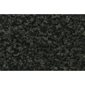 WT1366 DARŃ - Conifer Green Coarse Turf