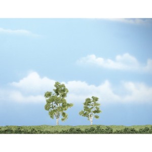 WTR1603  PREMIUM TREES- 2 1/4-3" Prem Sycamore2/Pk
