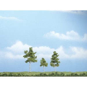 WTR1605  1 1/2-3" Prem Paper Birch 3/Pk