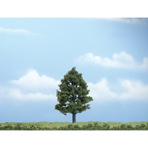 WTR1608  4" Prem Sweetgum 1/Pk