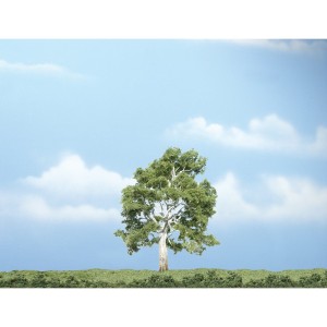 WTR1609  4" Sycamore Tree 1/Pkg