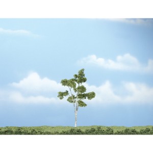WTR1616  4 1/8" Prem Paper Birch 1/Pk