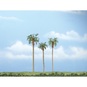 WTR1617  3-4 1/2" Prem Royal Palm 3/Pk