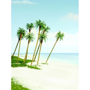 WTR1617  3-4 1/2" Prem Royal Palm 3/Pk