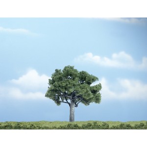 WTR1622  4in. Walnut Tree 1/Pkg