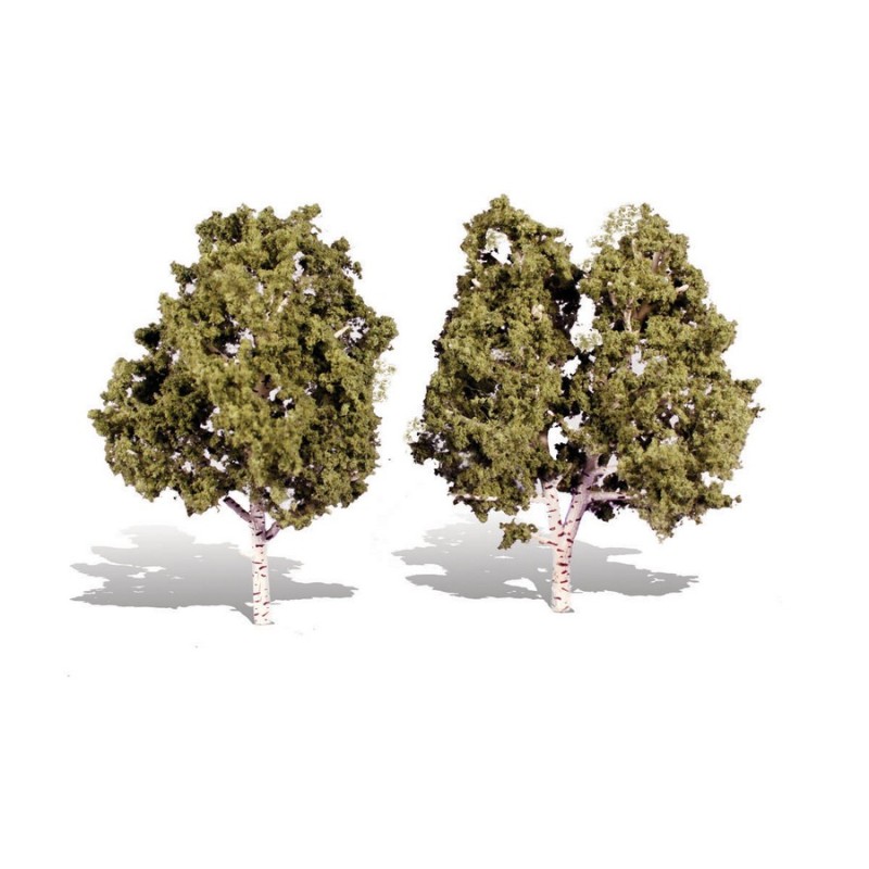 WTR3536  CLASSICS TREES- WATERS EDGE (BIRCH) 5-6