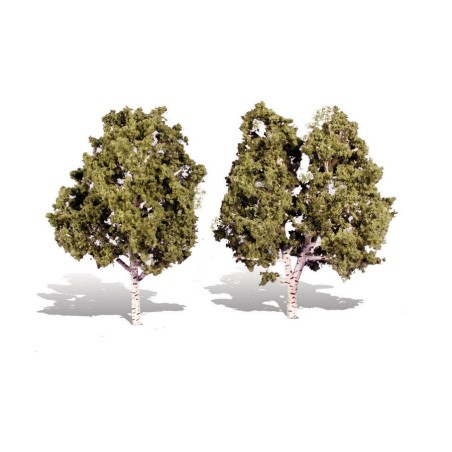 WTR3536  CLASSICS TREES- WATERS EDGE (BIRCH) 5-6