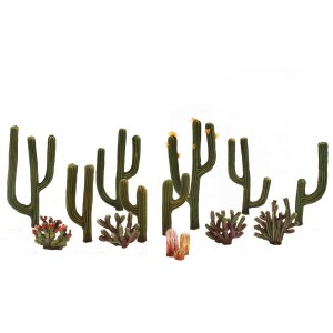 WTR3600 DRZEWKA - 1/2-2 1/2 Cactus Plants 13 szt.