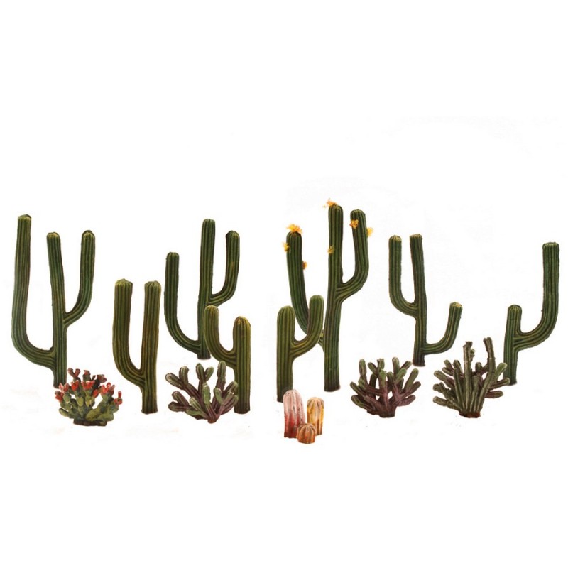 WTR3600 DRZEWKA - 1/2-2 1/2 Cactus Plants 13 szt.