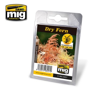 AMIG8457 ROŚLINY: DRY FERN