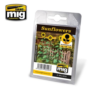 AMIG8458 ROŚLINY: SUNFLOWERS