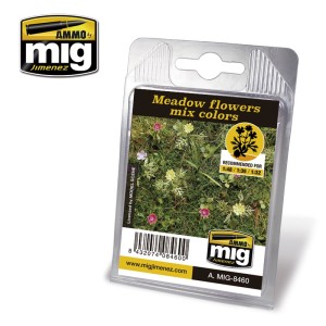 AMIG8460 ROŚLINY: MEADOW FLOWERS MIX COLORS