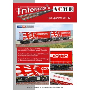 AC40493 1:87 WAG.PLAT.,Sggmrs TATRA 90ft,PKP CARGO