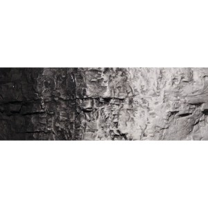 WC1220  PIGMENT - Black Terrain Paint (118 ml)