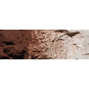WC1222  PIGMENT - Burnt Umber Terrain Paint (118 m