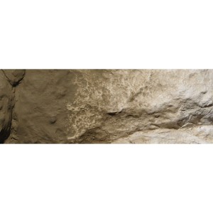 WC1229  PIGMENT - Earth Undercoat Terrain Paint (2